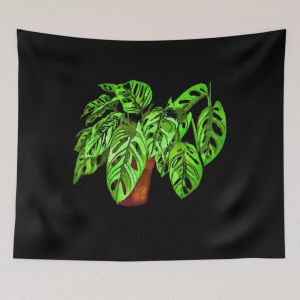 Item preview, Monstera Adansonii Swiss Cheese Plant Crop Hoodie Nature Gifts Plant Lover Gift Rare Plant  designed and sold by healmyvibe.