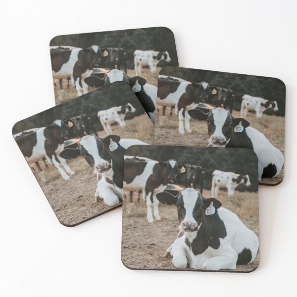 Aperçu de l'œuvre Veau Holstein créée et vendue par jacindasgarner.