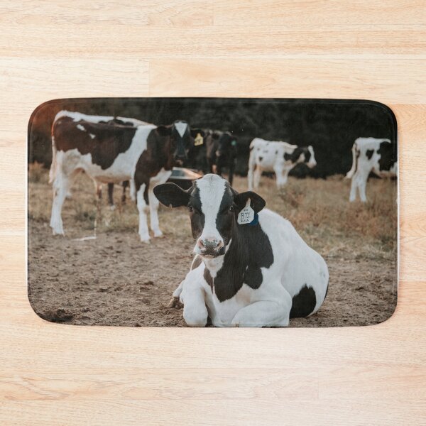 Item preview, Holstein calf designed and sold by jacindasgarner.