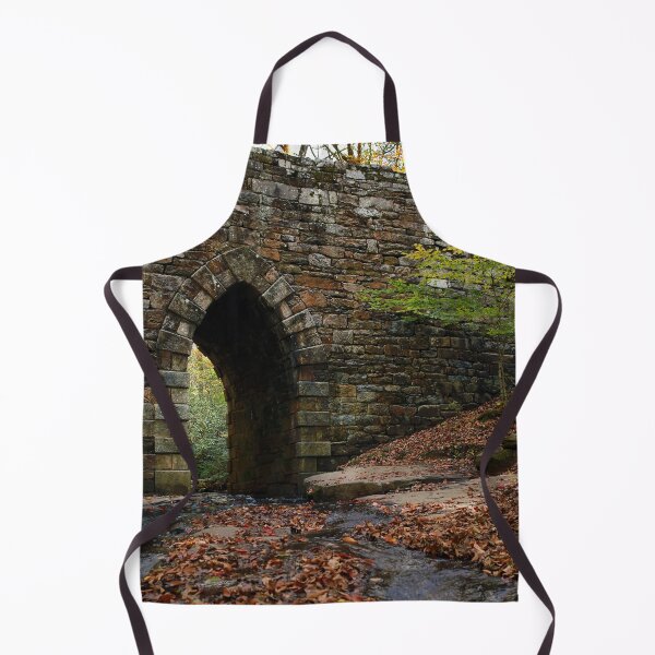 Item preview, The Arch at Poinsett Bridge designed and sold by StampCity.