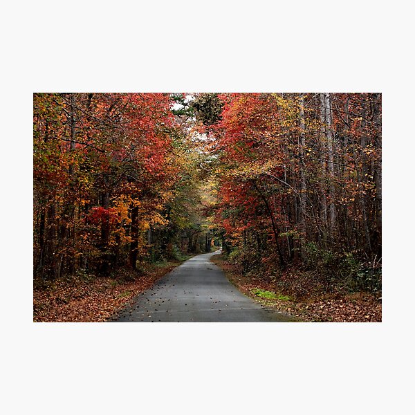 Item preview, Fall Foliage designed and sold by StampCity.