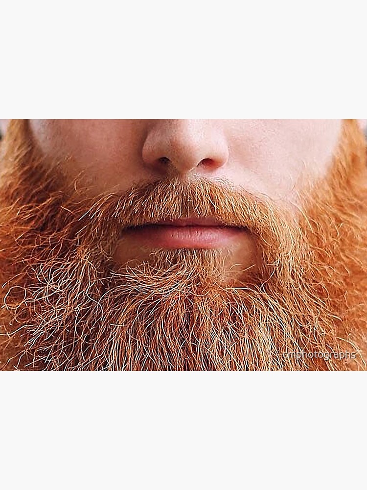 A luscious ginger beard - Mask only by cmphotographs