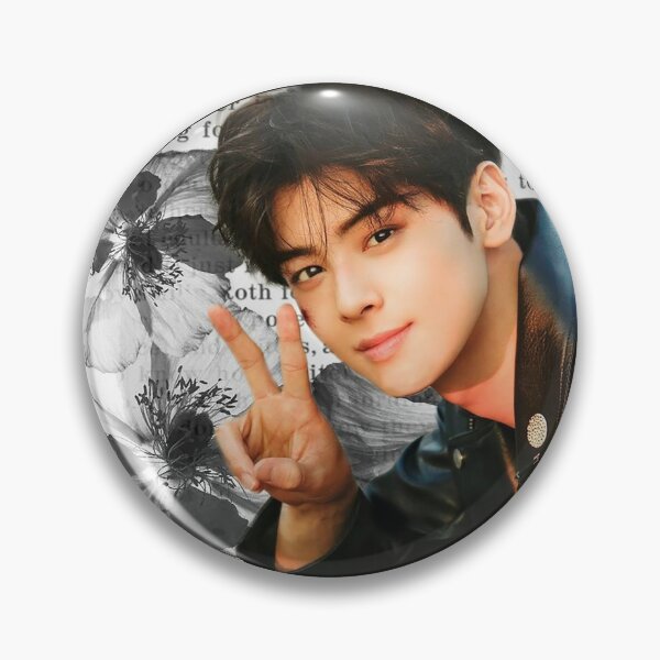 Pin on Cha eun woo