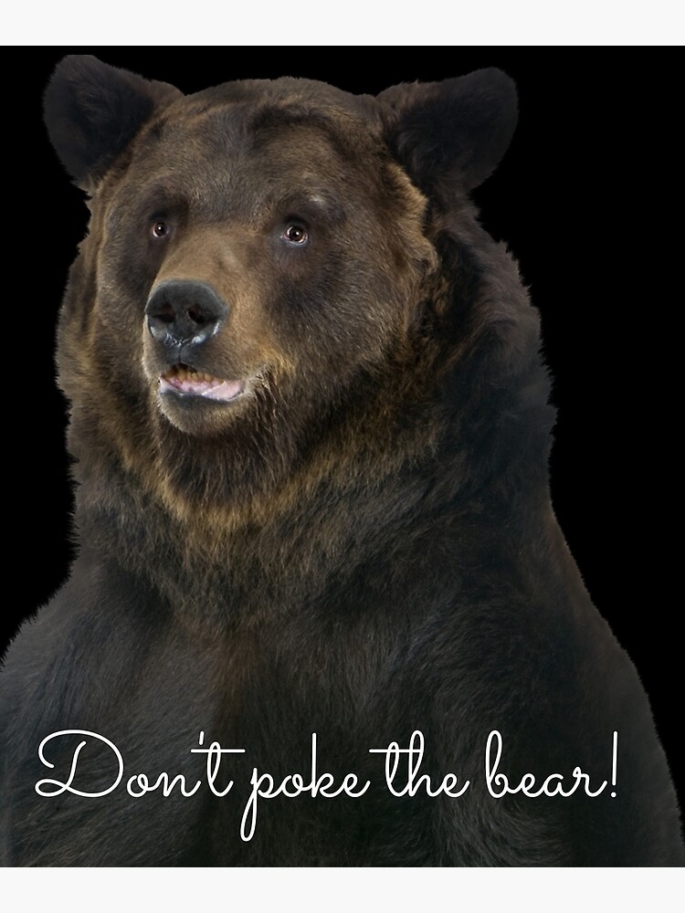 Don't Poke the Bear Humorous Wildlife Warning by kgerstorff