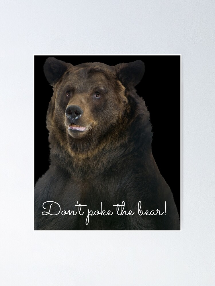 Alternate view of Don't Poke the Bear Humorous Wildlife Warning Poster