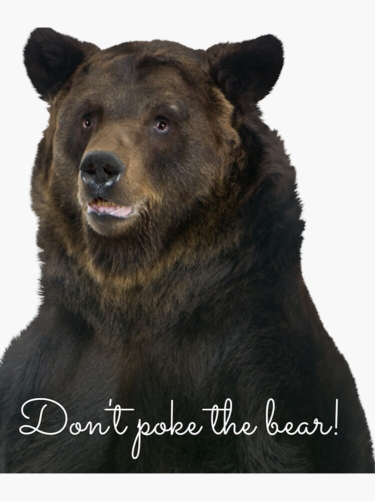 Don't Poke the Bear Humorous Wildlife Warning by kgerstorff