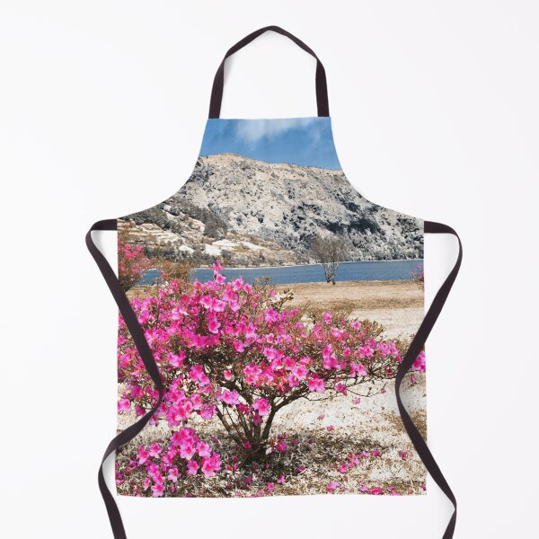 Item preview, Azaleas in dry land designed and sold by Gaspar Avila.