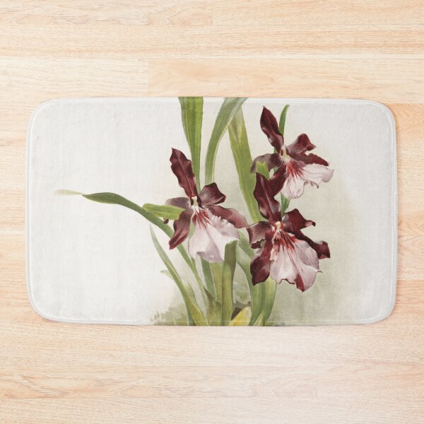 Item preview, Reichenbachia: Orchids Illustrated and Described designed and sold by EsotericBotanic.