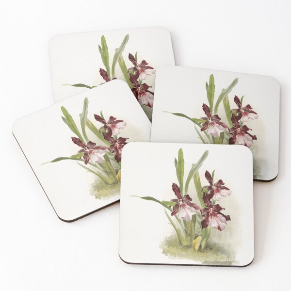 Item preview, Reichenbachia: Orchids Illustrated and Described designed and sold by EsotericBotanic.
