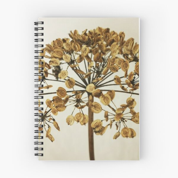 Item preview, Seedhead Photo designed and sold by Squirrels-Leap.