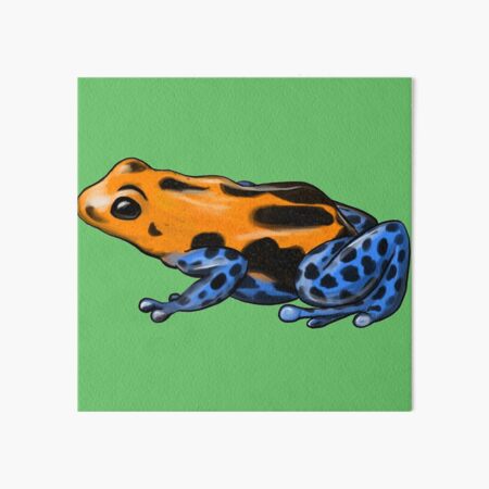Item preview, Poison Frog designed and sold by khalico.