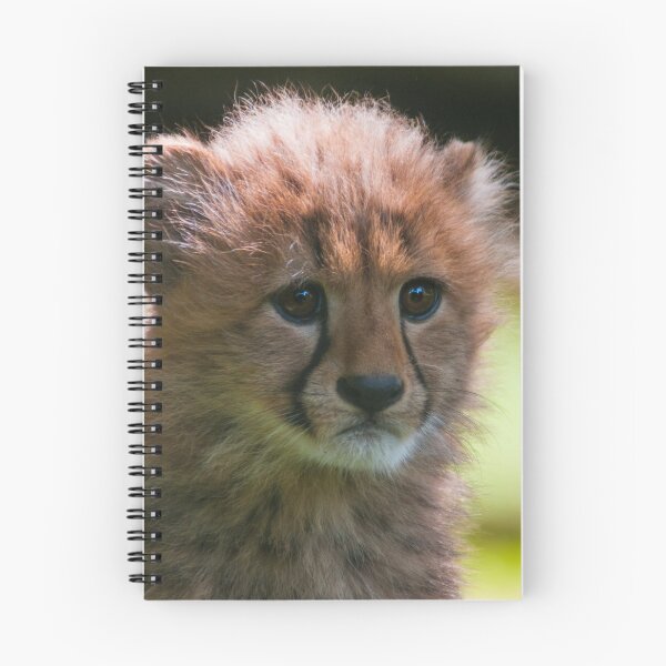 Item preview, Cheetah Cub designed and sold by Monika Hylmarová.