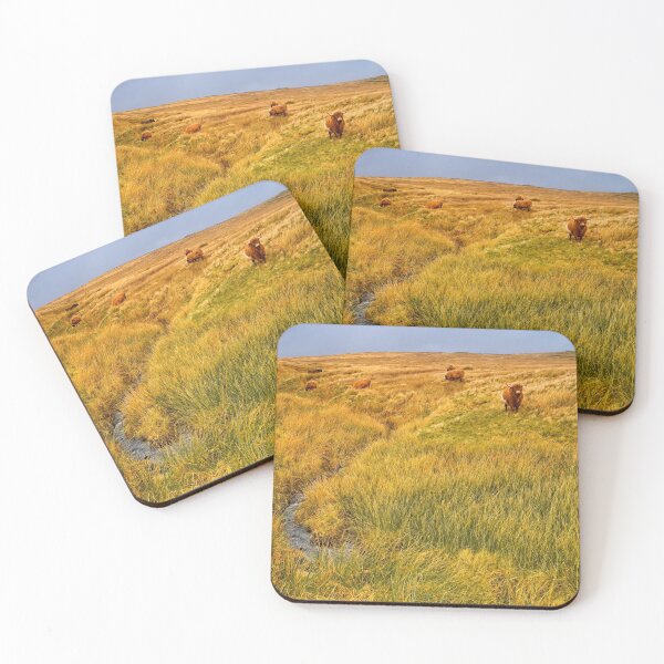 Item preview, Moorland Cattle in the Yorkshire Dales designed and sold by Martyn R Arnold Fine Art Nature & Landscape Photography.