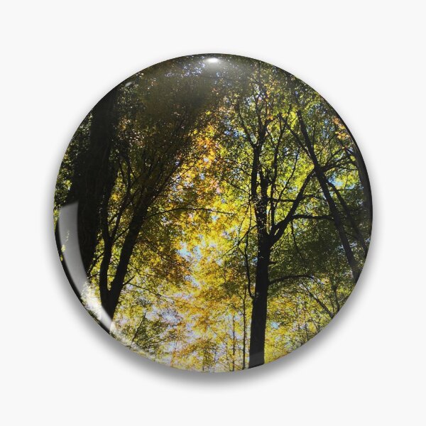 Artikelvorschau, Sonnenlicht, das durch Bäume in einem Schweizer Wald filtert entworfen und verkauft von Michael Brewer.