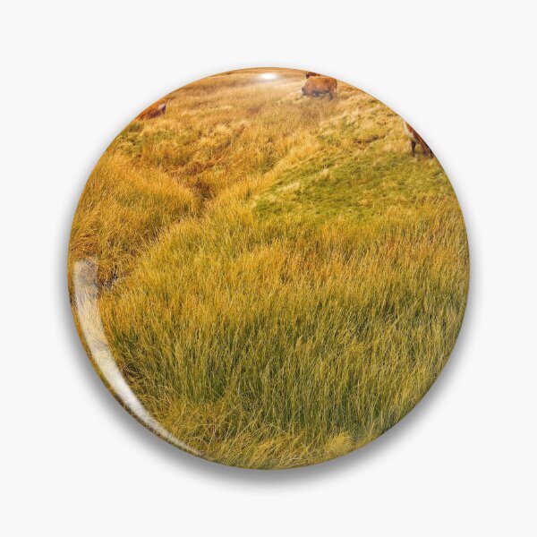 Item preview, Moorland Cattle in the Yorkshire Dales designed and sold by Martyn R Arnold Fine Art Nature & Landscape Photography.