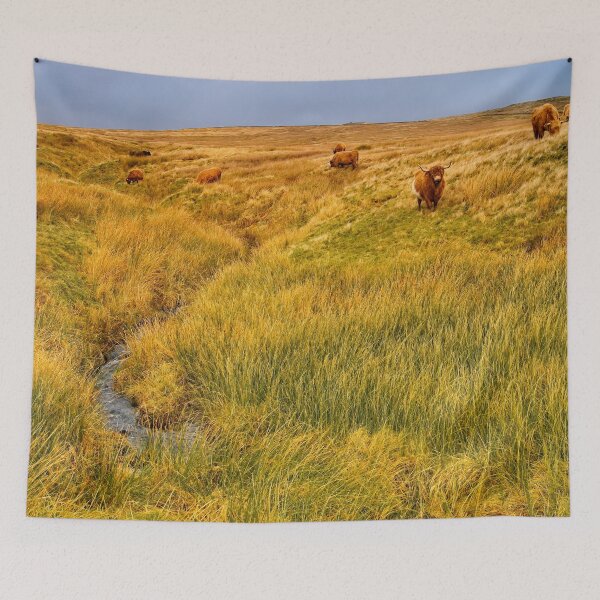 Item preview, Moorland Cattle in the Yorkshire Dales designed and sold by Martyn R Arnold Fine Art Nature & Landscape Photography.