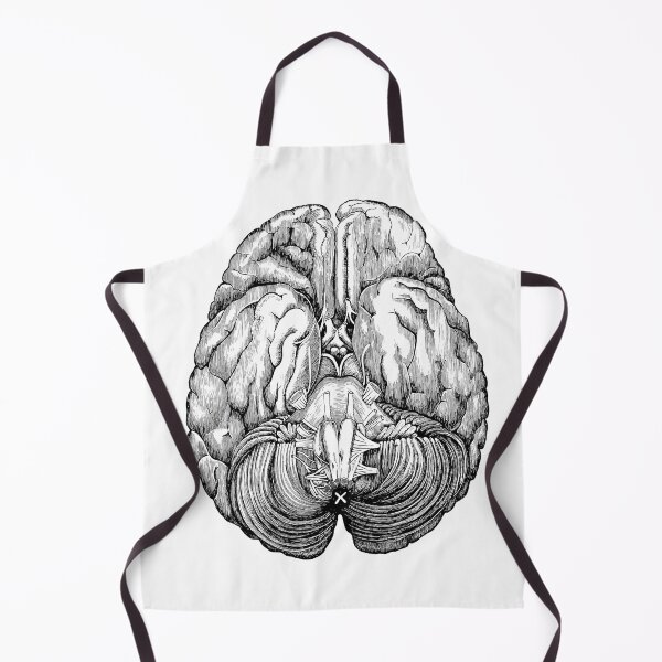 Item preview, Anatomical brain designed and sold by agakubish.
