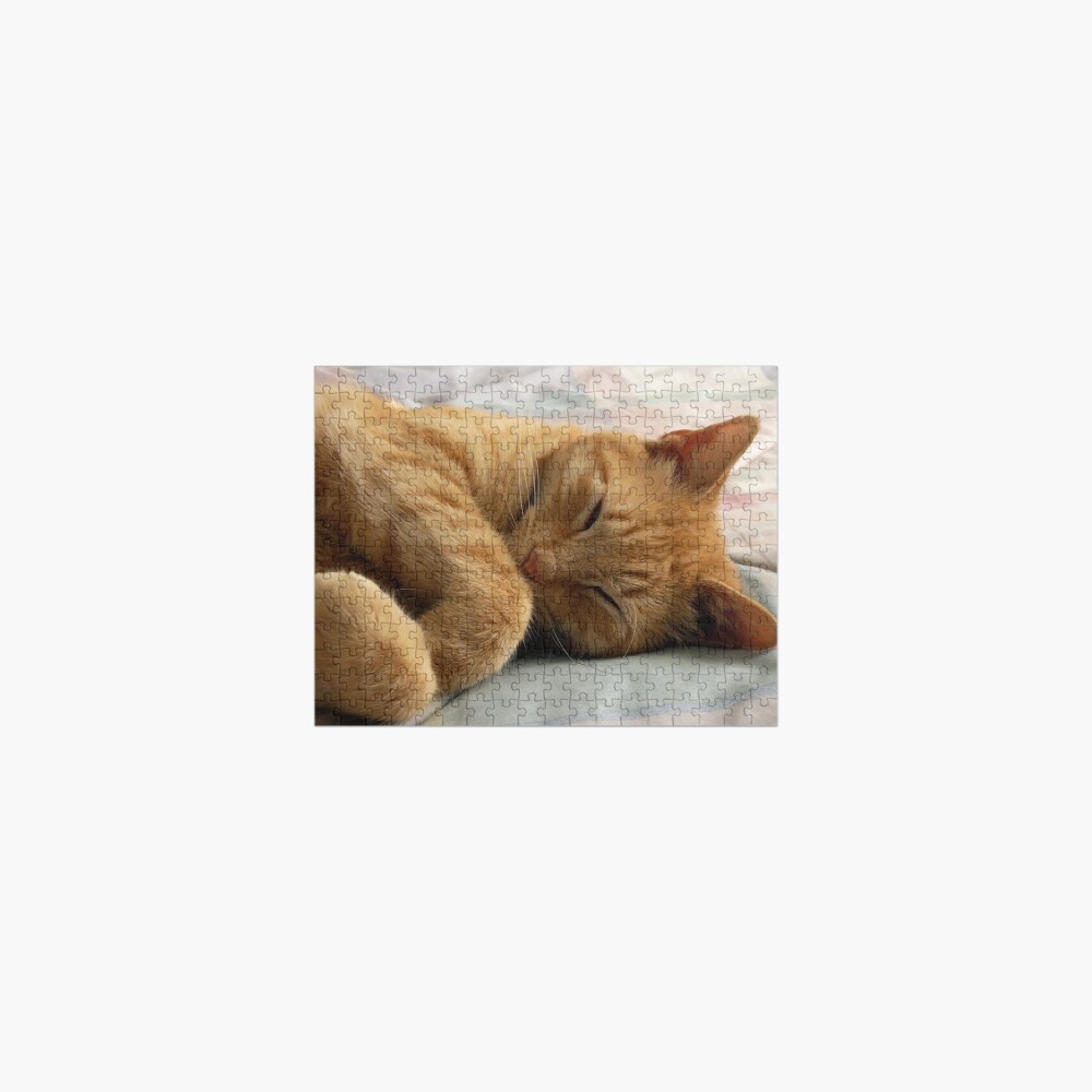 ginger cat puzzle