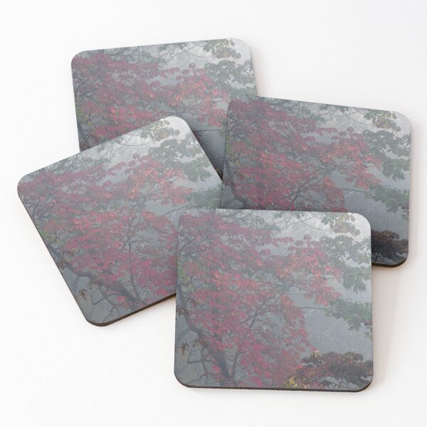 Item preview, The Mystery that is Fog  designed and sold by SJM Images.