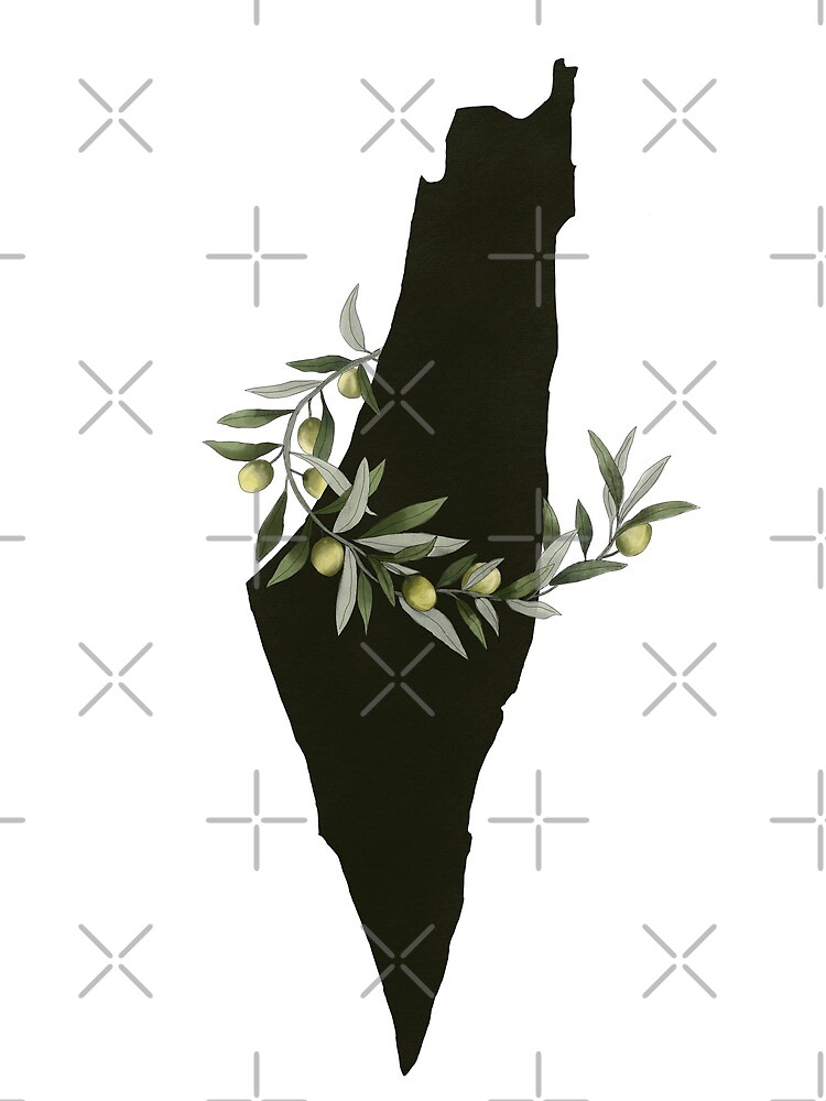 "Palestine olive branch " Photographic Print for Sale by Lamees