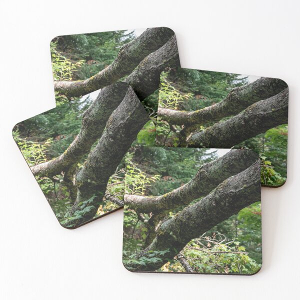 Item preview, Fallen Tree designed and sold by MadPatter.