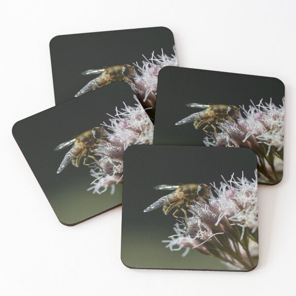Item preview, Bee on oregano flowers in the urban garden designed and sold by wineandwords.