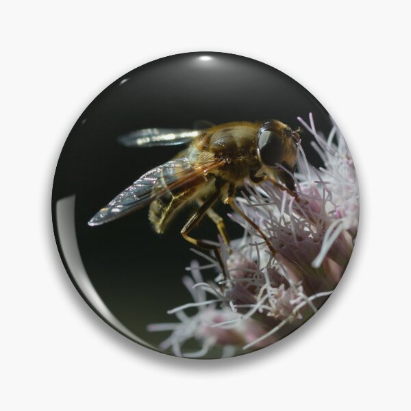 Item preview, Bee on oregano flowers in the urban garden designed and sold by wineandwords.