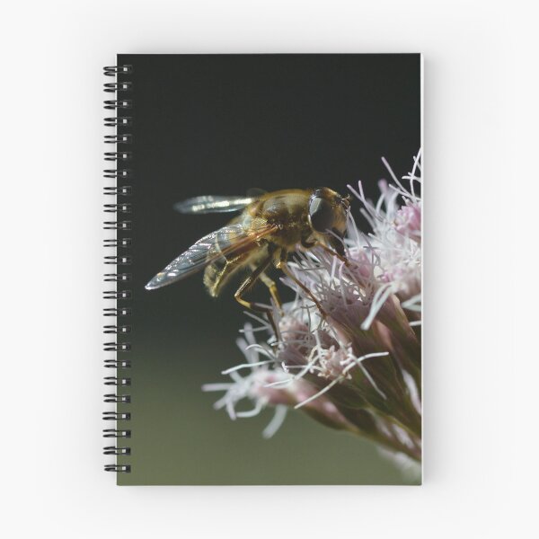 Item preview, Bee on oregano flowers in the urban garden designed and sold by wineandwords.