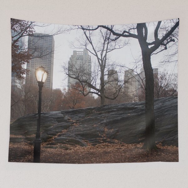 Item preview, December in Central Park designed and sold by Jacquelie.