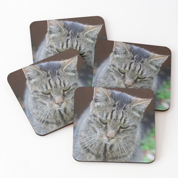 Item preview, Pensive cat designed and sold by wineandwords.