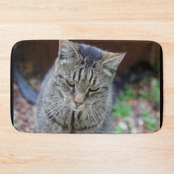 Item preview, Pensive cat designed and sold by wineandwords.