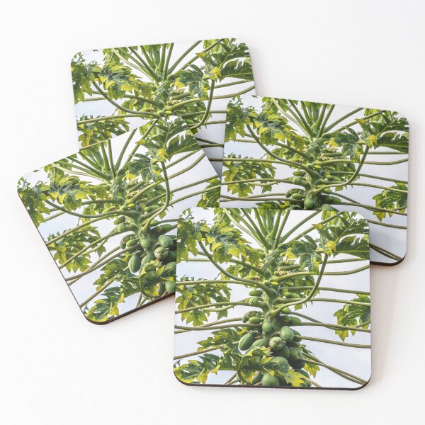 Item preview, Papaya Love designed and sold by debbieannpowell.