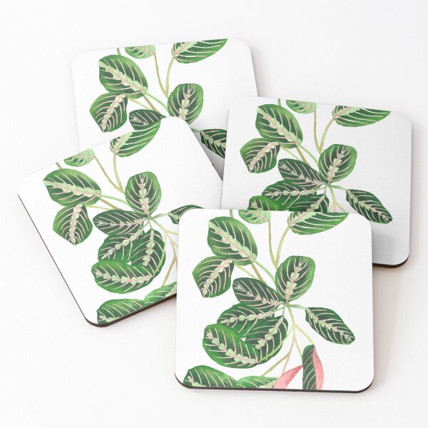 Item preview, Tricolor Maranta designed and sold by Maleclaria.