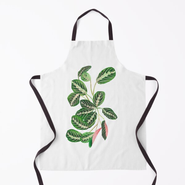 Item preview, Tricolor Maranta designed and sold by Maleclaria.