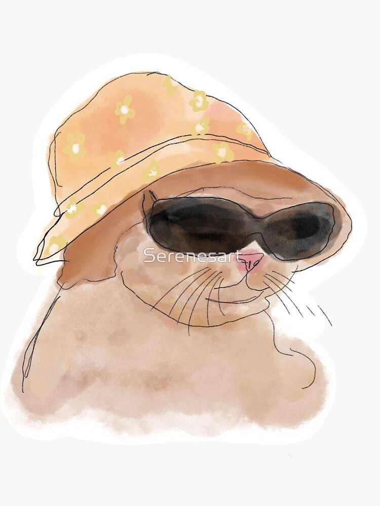 Cat wearing a bucket hat and glasses Sticker for Sale by Serenesart