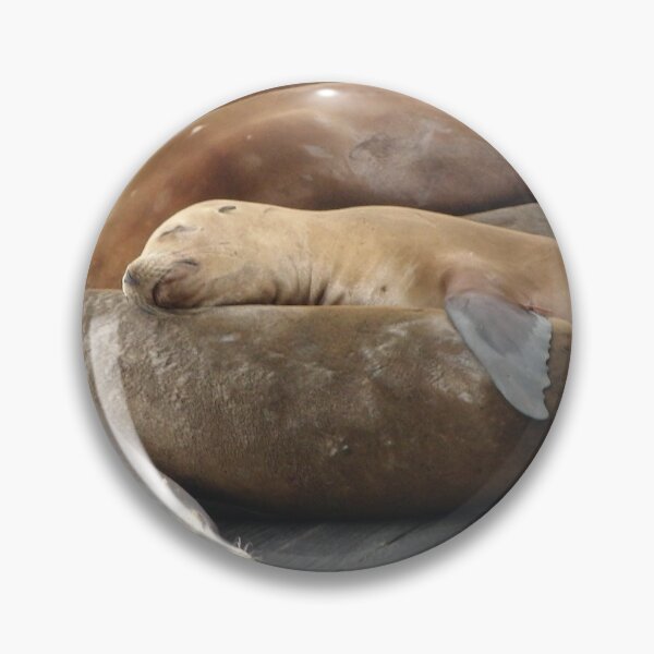 Item preview, Sleeping Sea Lion designed and sold by mattpanta.
