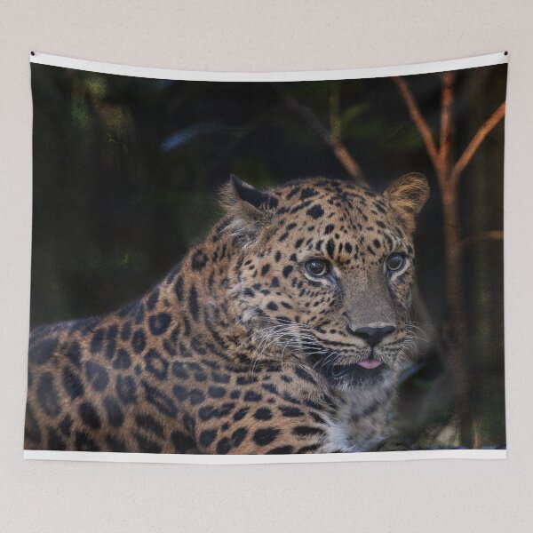 Item preview, Leopard Studies Man designed and sold by KbytesOfJax Outdoor and Nature.