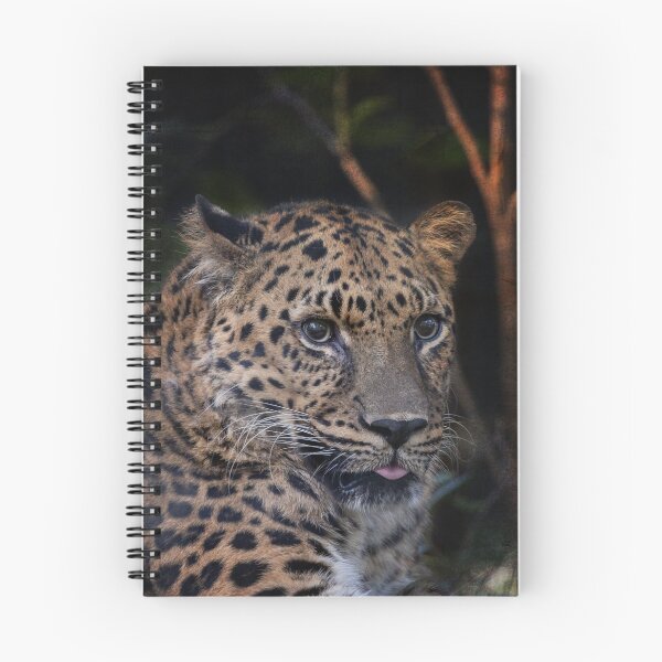 Item preview, Leopard Studies Man designed and sold by KbytesOfJax Outdoor and Nature.