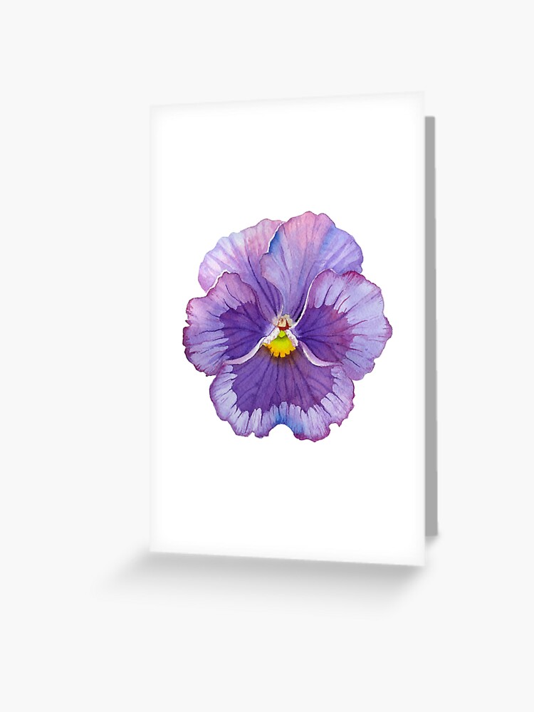 Tarjetas de felicitación «Flor púrpura del pensamiento - arte botánico de  la acuarela» de annabucciarelli | Redbubble