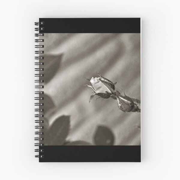 Item preview, Rosebud and Wall (Sepia) designed and sold by ZiffyPhotos.