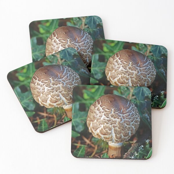 Item preview, Mushroom From Our Front Yard designed and sold by Tom Janca.