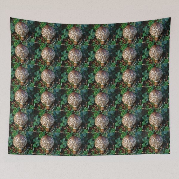Item preview, Mushroom From Our Front Yard designed and sold by Tom Janca.