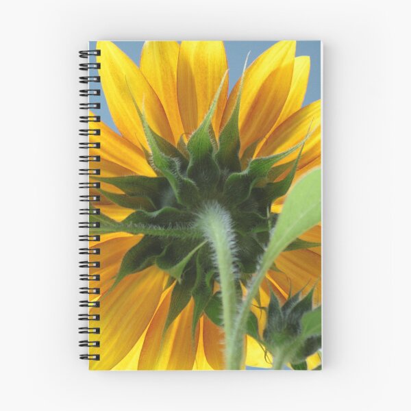 Item preview, Sunflower back designed and sold by Debi Matlack.