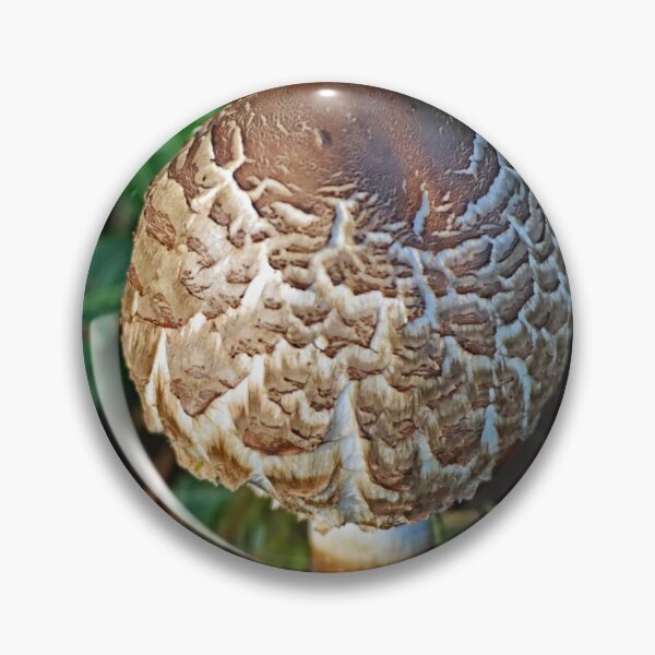 Item preview, Mushroom From Our Front Yard designed and sold by Tom Janca.