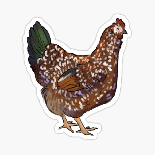 Speckled Sussex Chicken Sticker