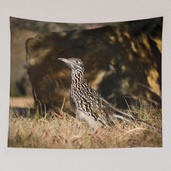 Item preview, Roadrunner designed and sold by jonesing.
