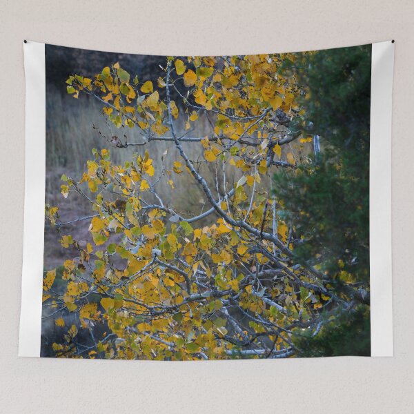 Item preview, Texas Fall designed and sold by jonesing.