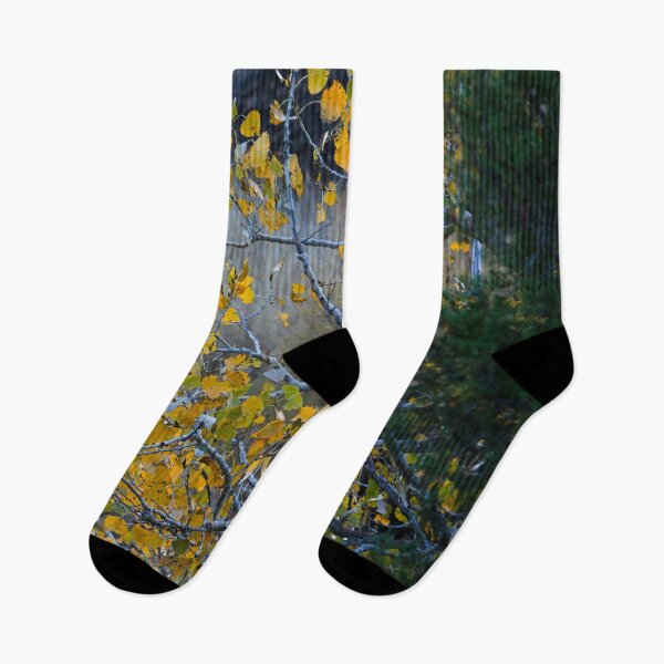 Item preview, Texas Fall designed and sold by jonesing.