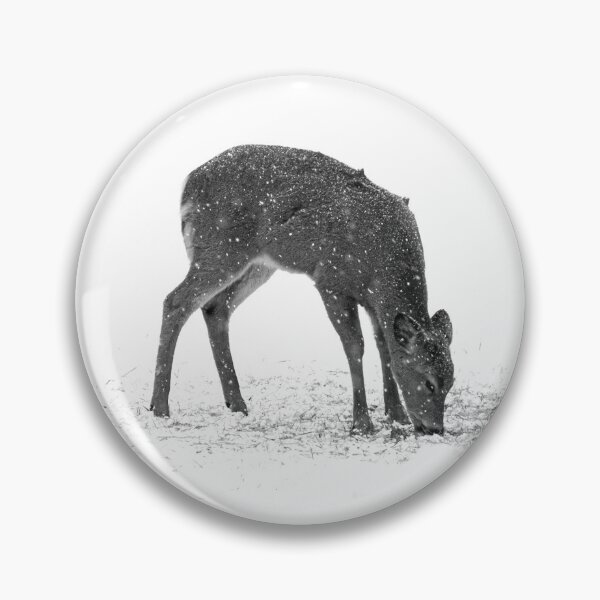 Item preview, WHITE-TAILED DEER photo print by TIRED STARLING designed and sold by TiredStarling.