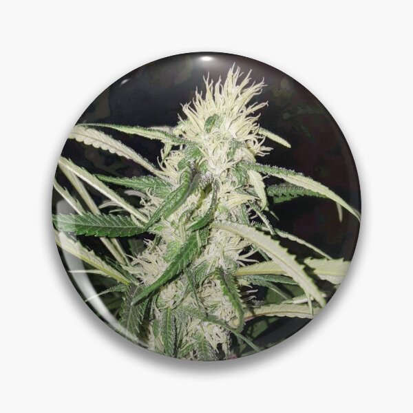 Item preview, Cannabis White Pistils designed and sold by Canadian-Garden.